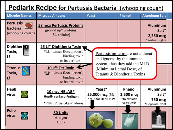 pediarix ingredients